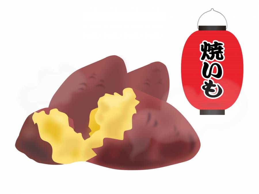 红薯
