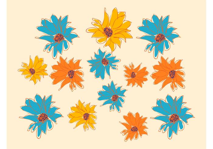鲜花图画