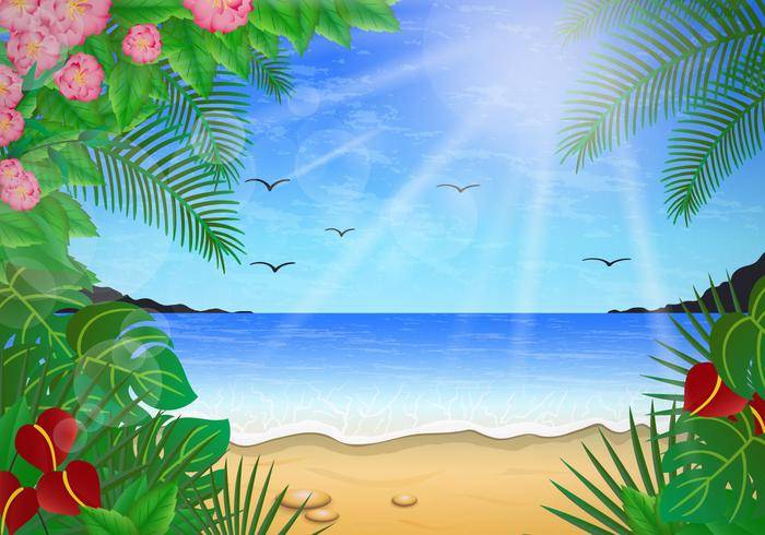 Playa花卉场面