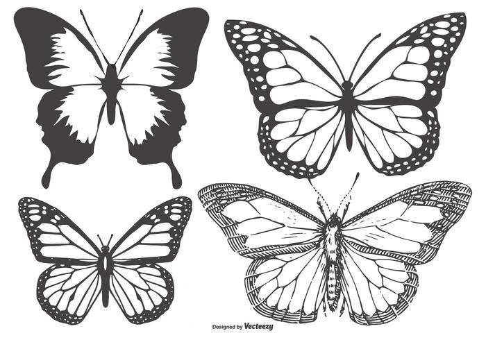 复古蝴蝶/ Mariposa集合
