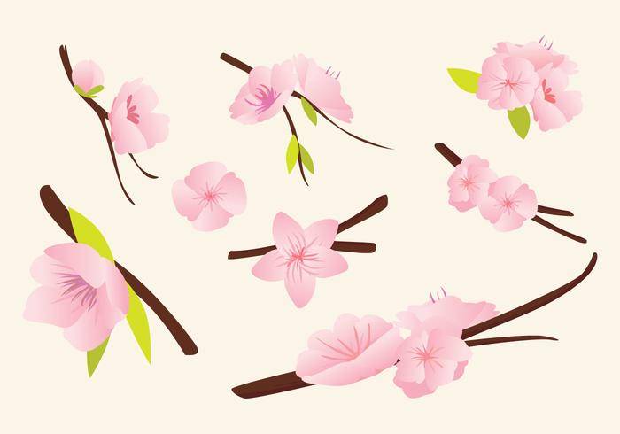 桃花矢量