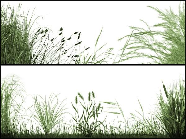 唯美绿草笔刷