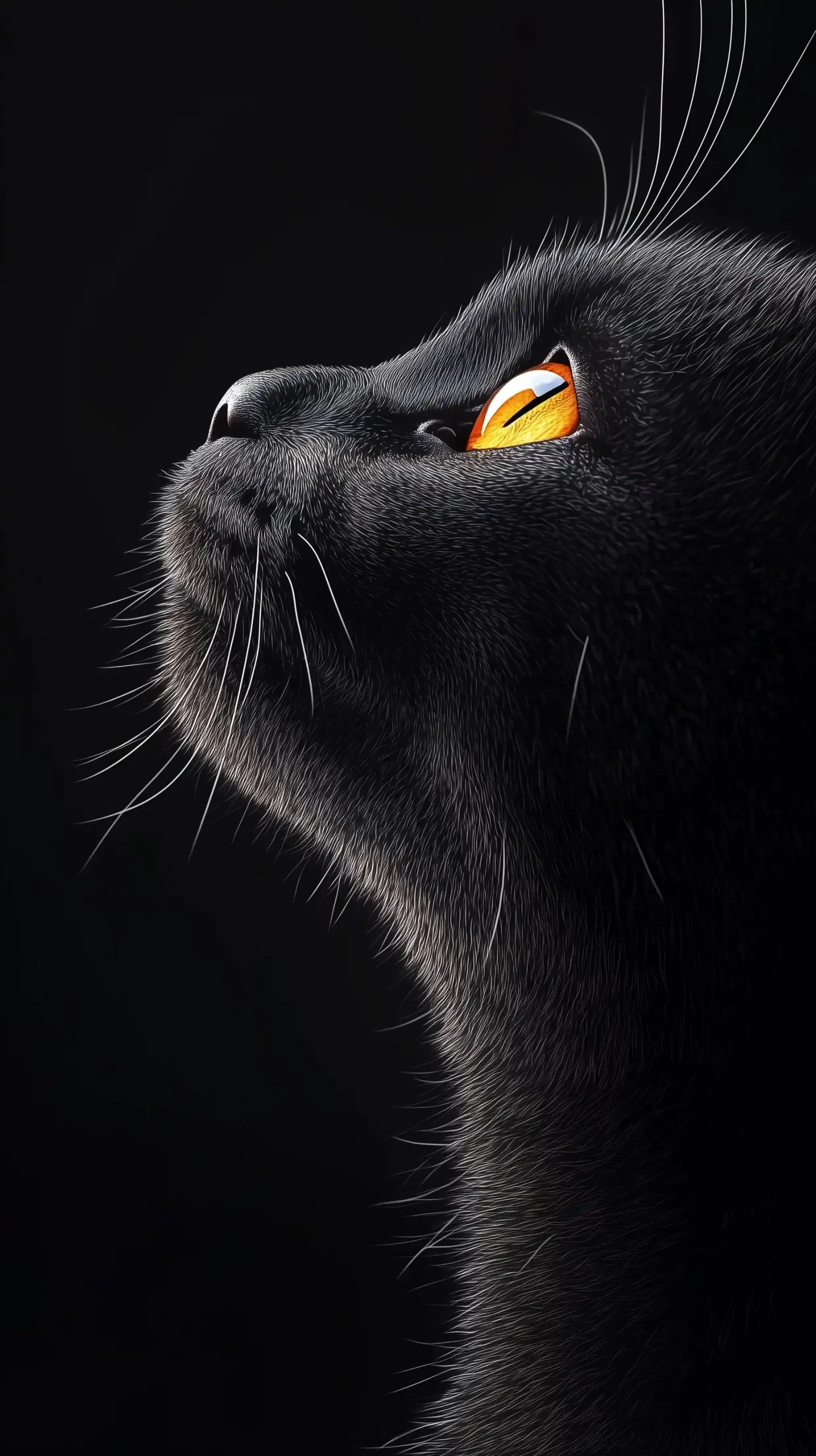 Silhouette of Black Cat Midjourney提示词