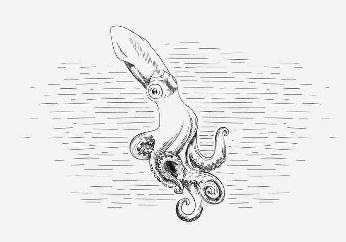 免费矢量八达通插画