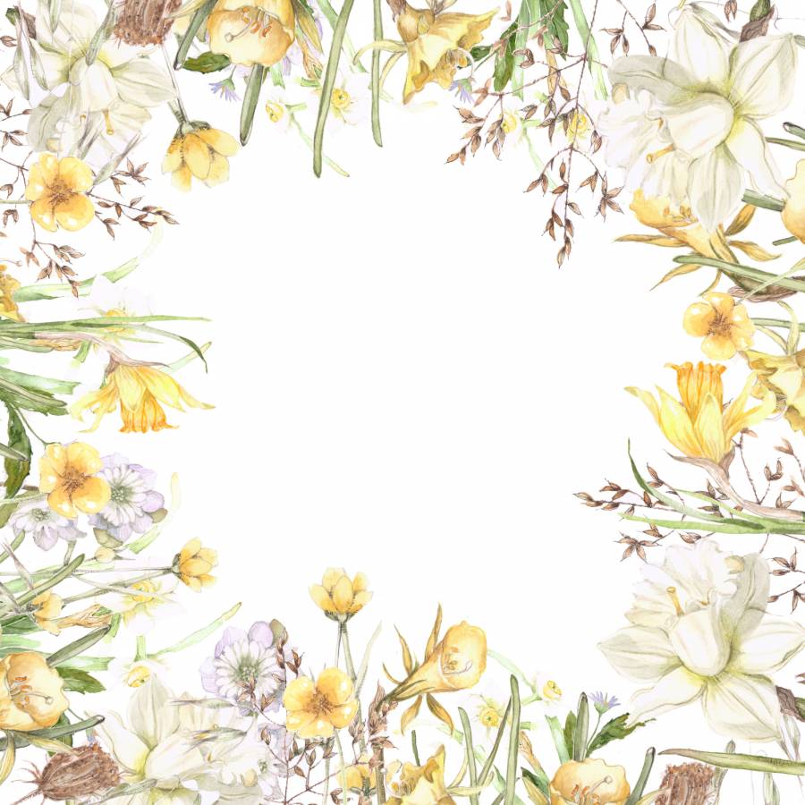 早春的花园水仙花花架