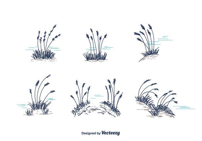 手绘海燕麦矢量
