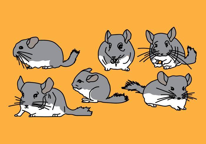 龙猫矢量包3