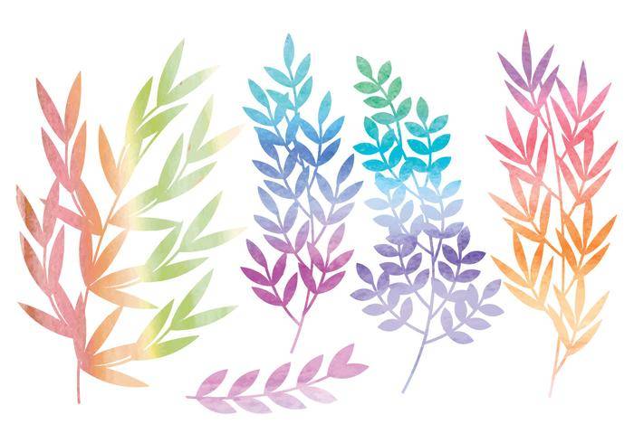 矢量水彩分支和花卉集