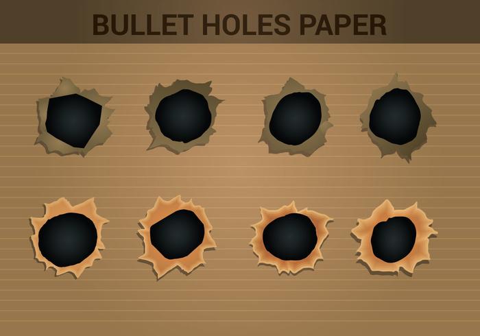 Buller孔纸向量
