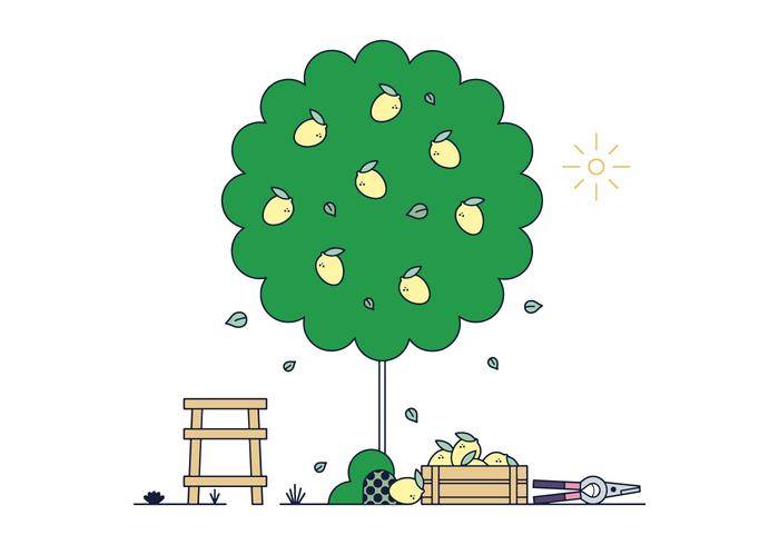 免费柠檬树矢量