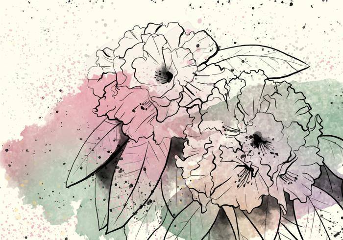 杜鹃花水彩例证