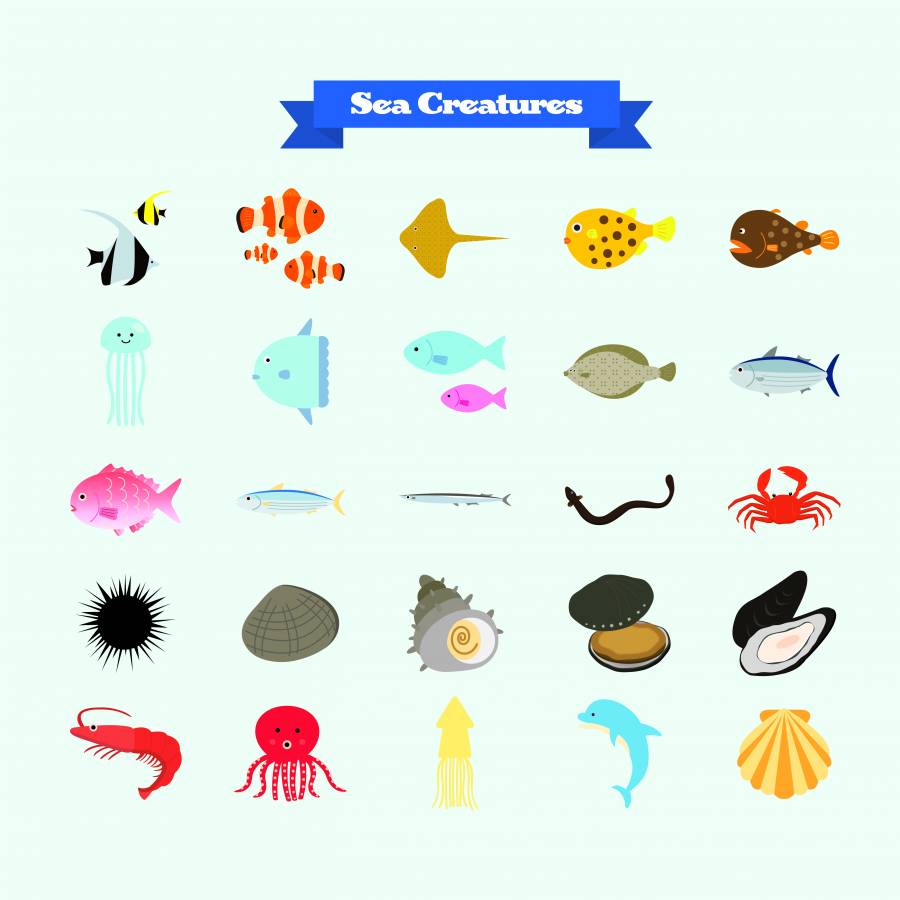 海洋生物