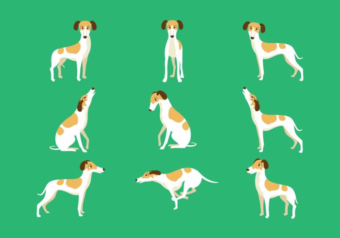 Whippet卡通矢量