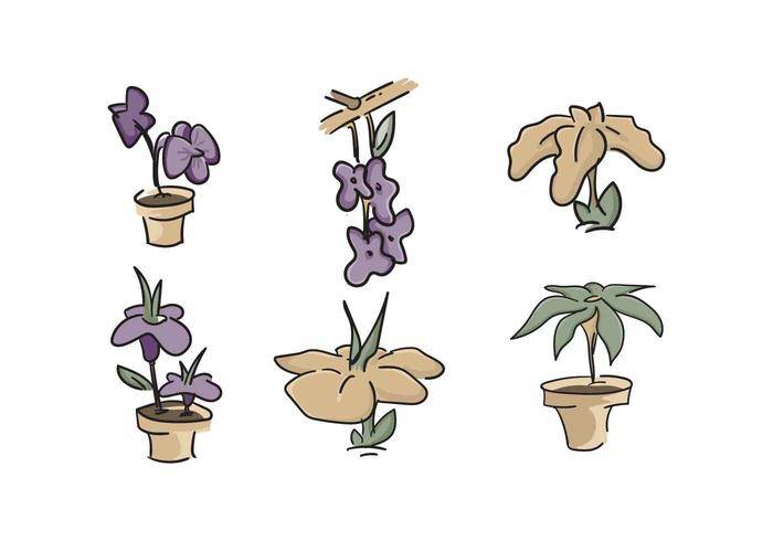 免费美丽的鸢尾花矢量