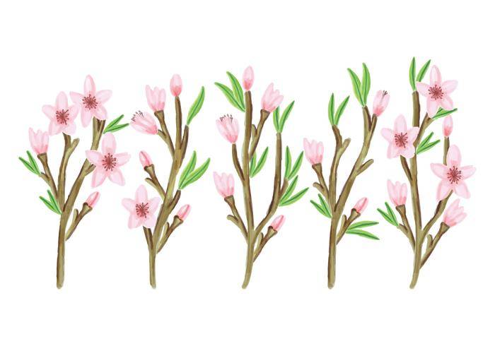 矢量花卉分支集合