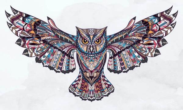 猫头鹰纹身插画