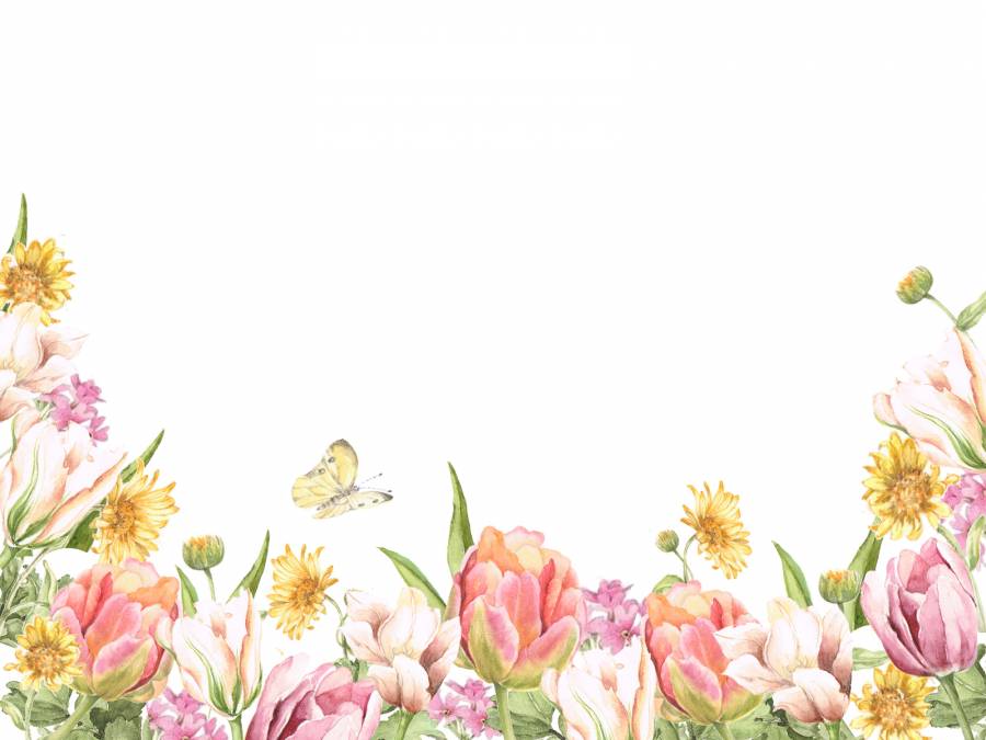 花框架108  - 郁金香和黄色的花花框架