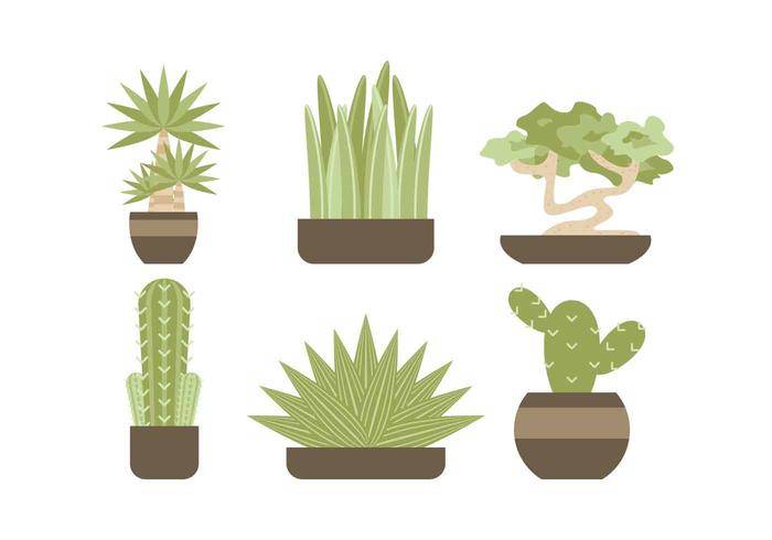 免费常绿室内植物载体
