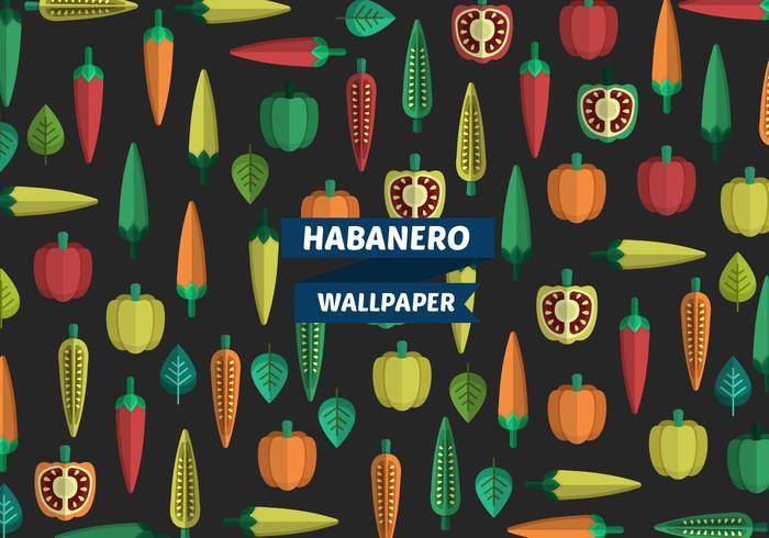 Habanero模式矢量壁纸