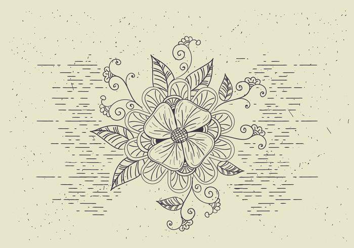 免费矢量花插图
