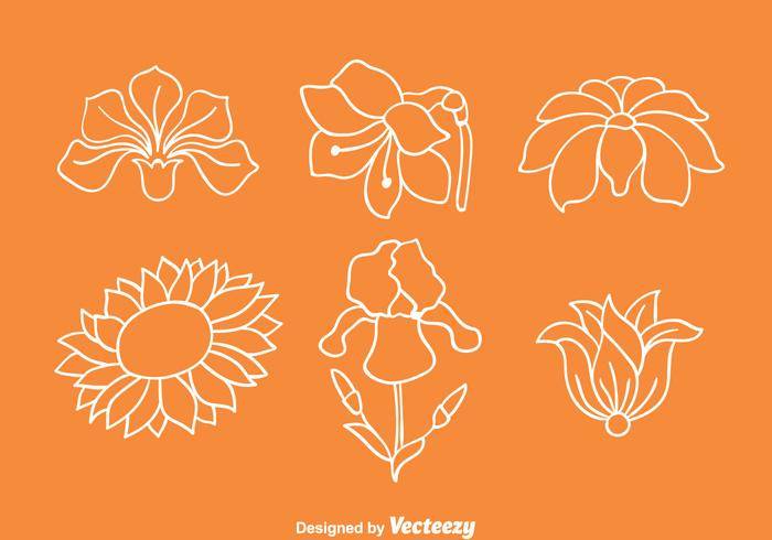花集合线矢量