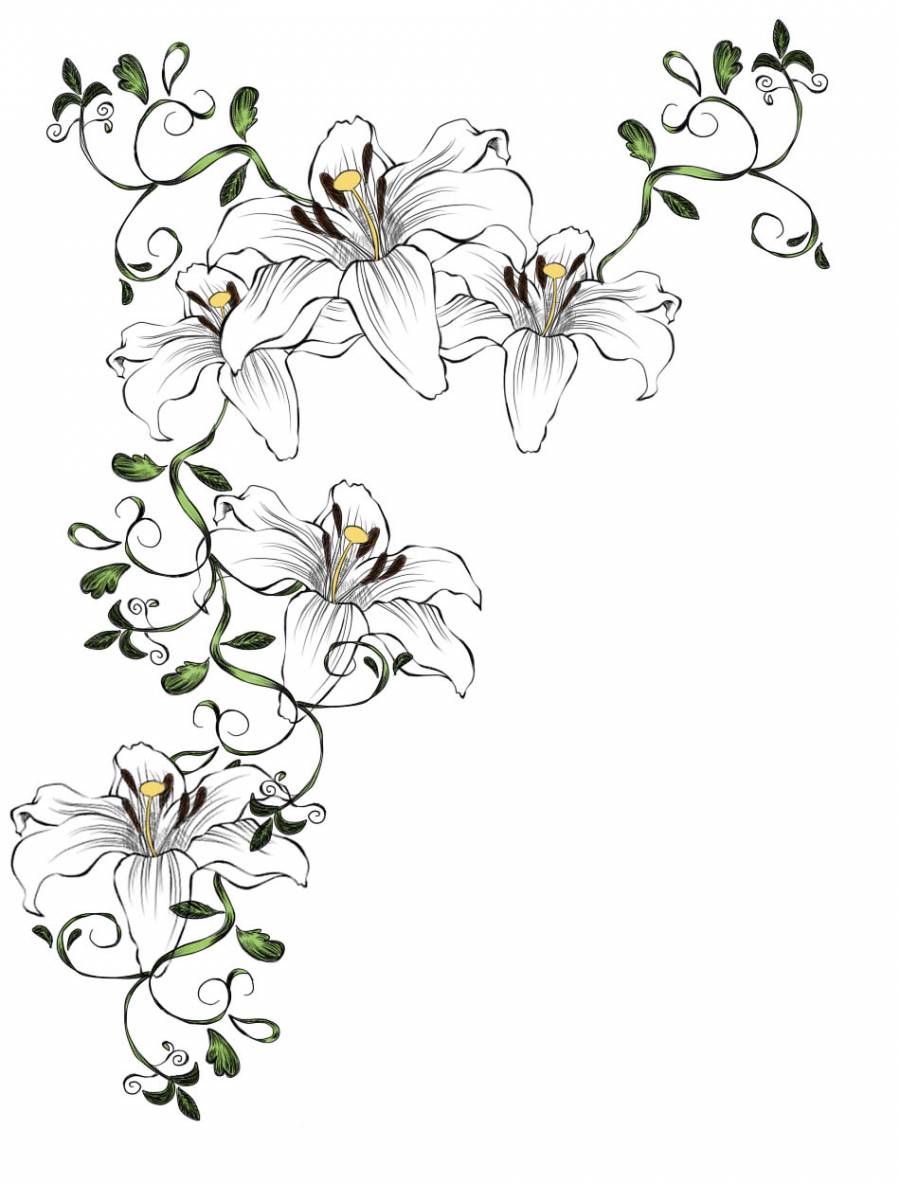 百合