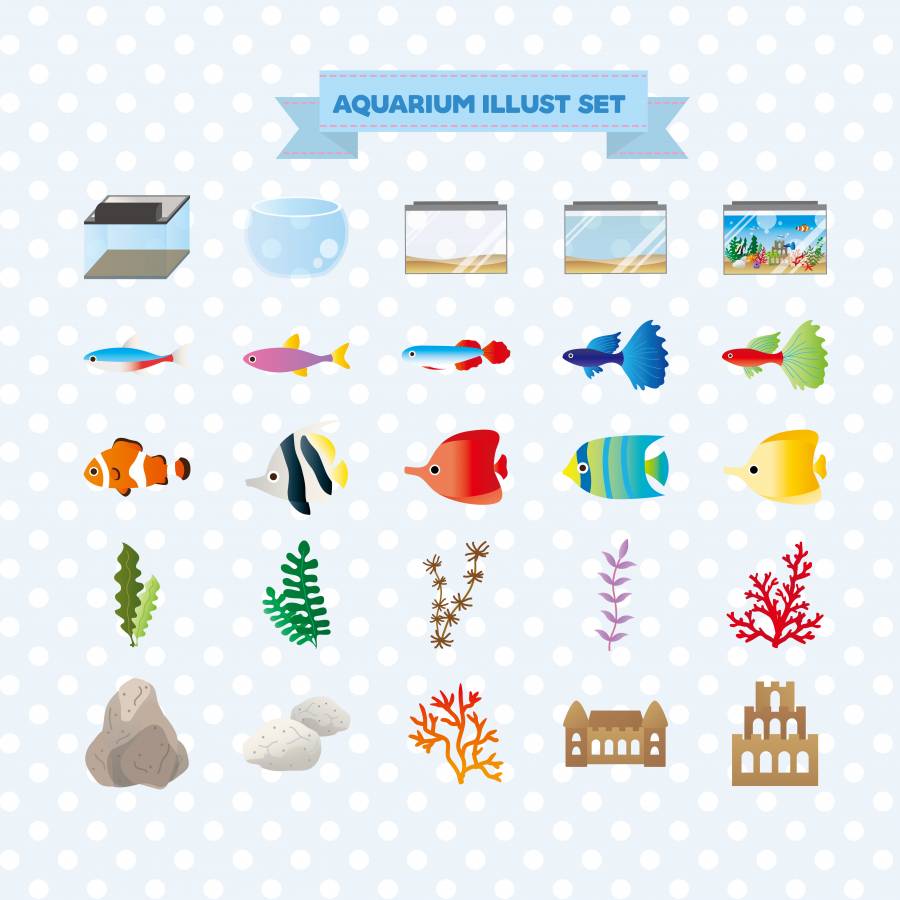 水族馆的插图