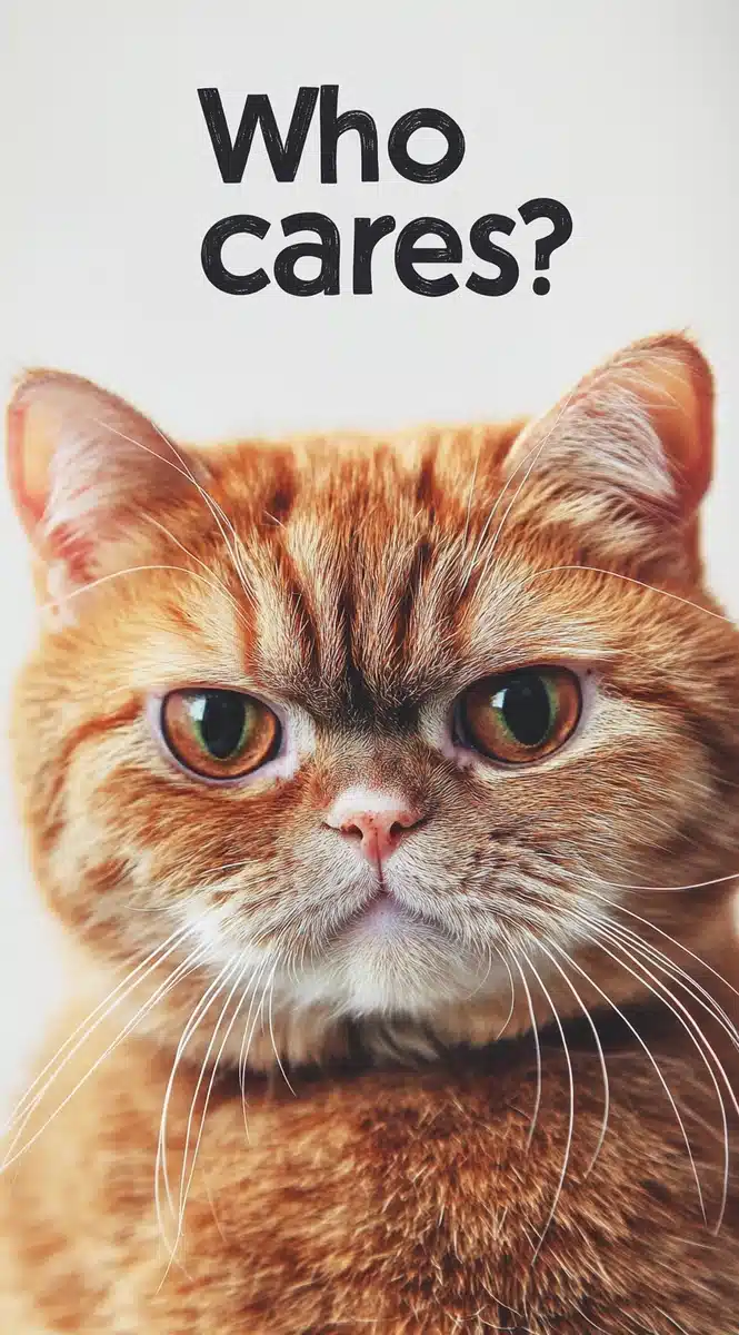 Grumpy Cat with Text Midjourney提示词