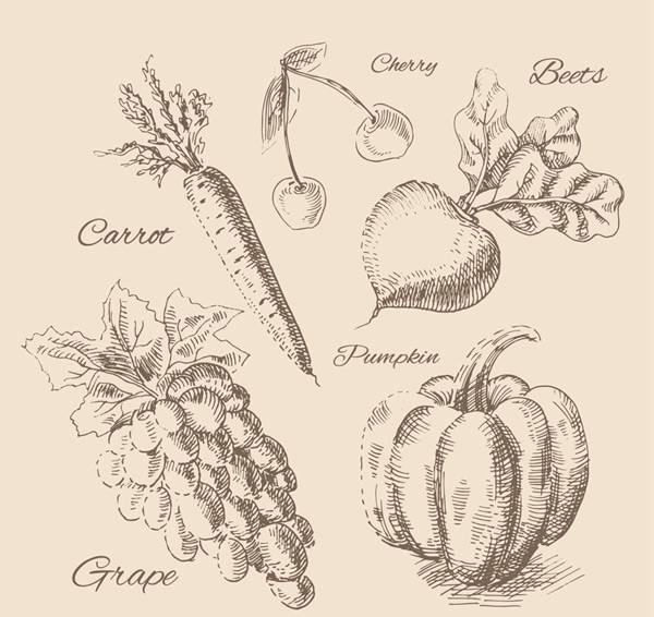 手绘水果和蔬菜菜