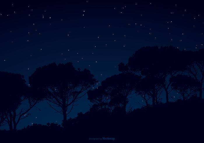 满天星斗的夜空插图