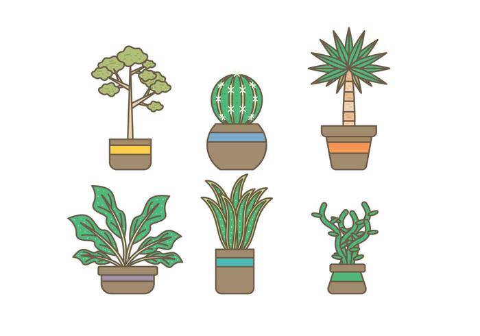 免费常绿室内植物载体