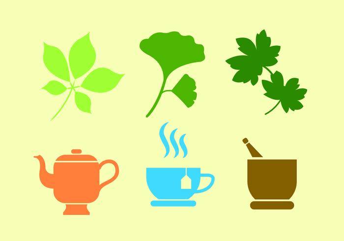银杏植物和茶在向量中的一套