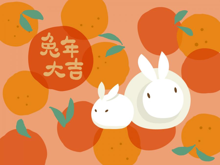 5款2023年兔年大吉恭贺新春新年快乐兔年吉祥如意插画海报AI矢量素材