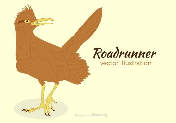免费Roadrunner矢量图