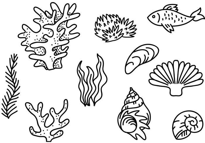 免费的海洋生物载体