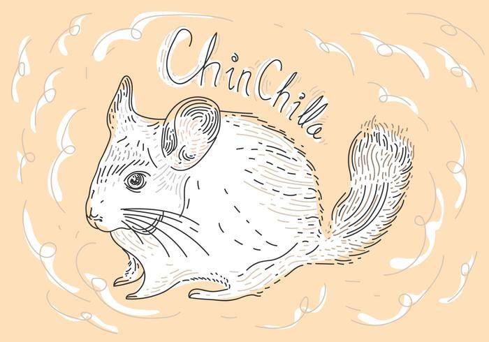 免费龙猫矢量图