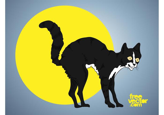 猫的插图