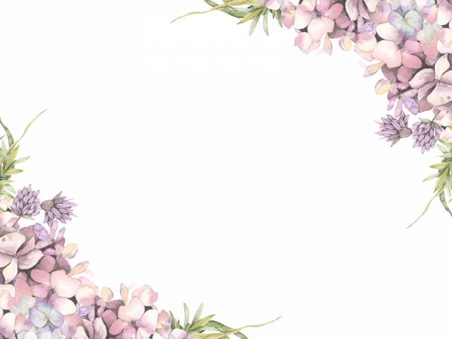 花框架143  - 绣球花和香葱花框架