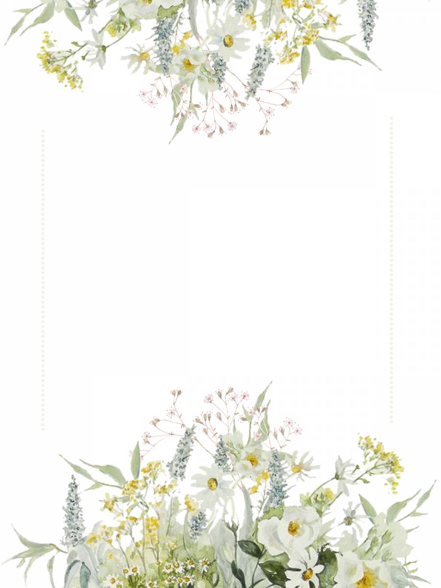 花框200  - 浅色花框，白色野玫瑰