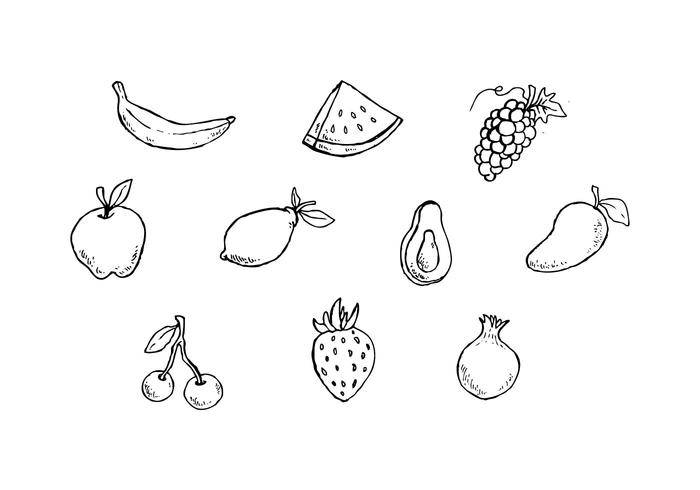 免费水果素描图标矢量