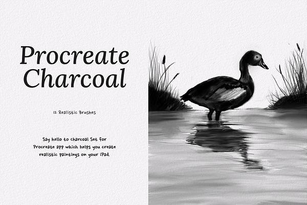 Procreate Charcoal Brush Set
