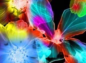 Flower Brush CS4