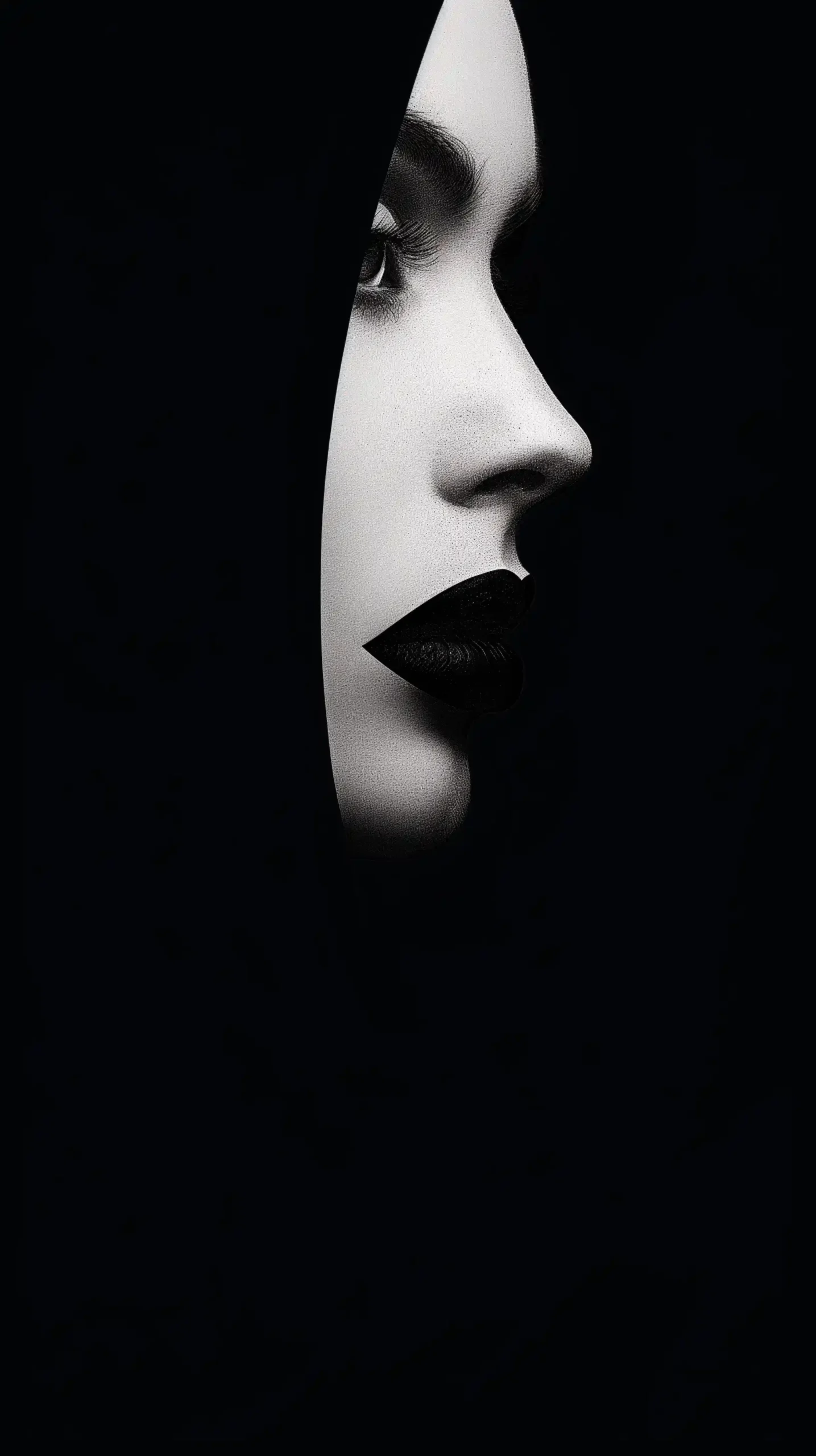 Artistic Black and White Face Midjourney提示词
