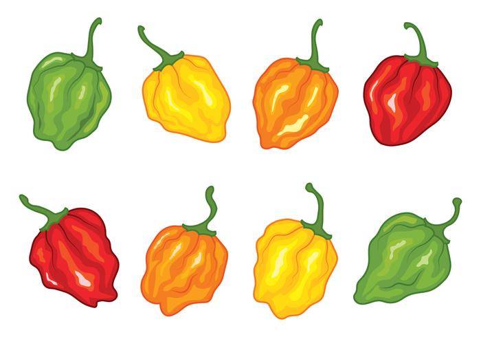 Habanero纸矢量包