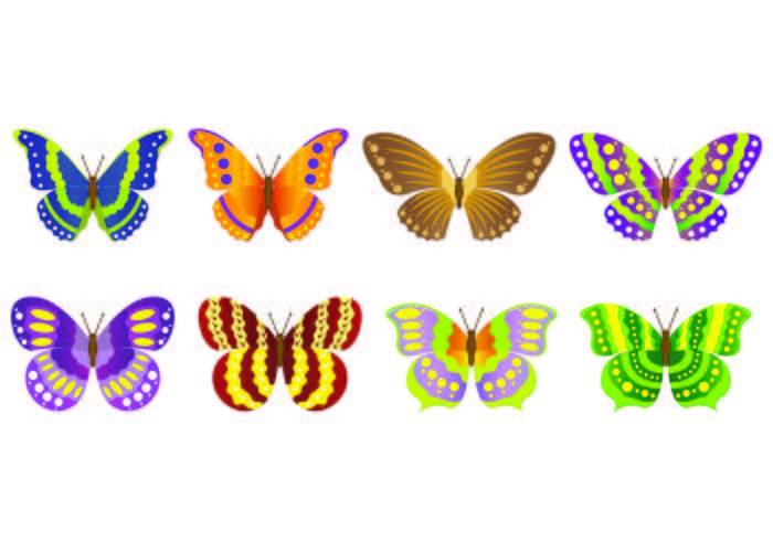 套Mariposa传染媒介