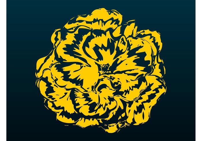 花卉开花