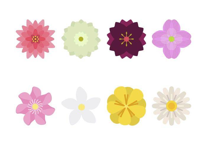 扁花载体
