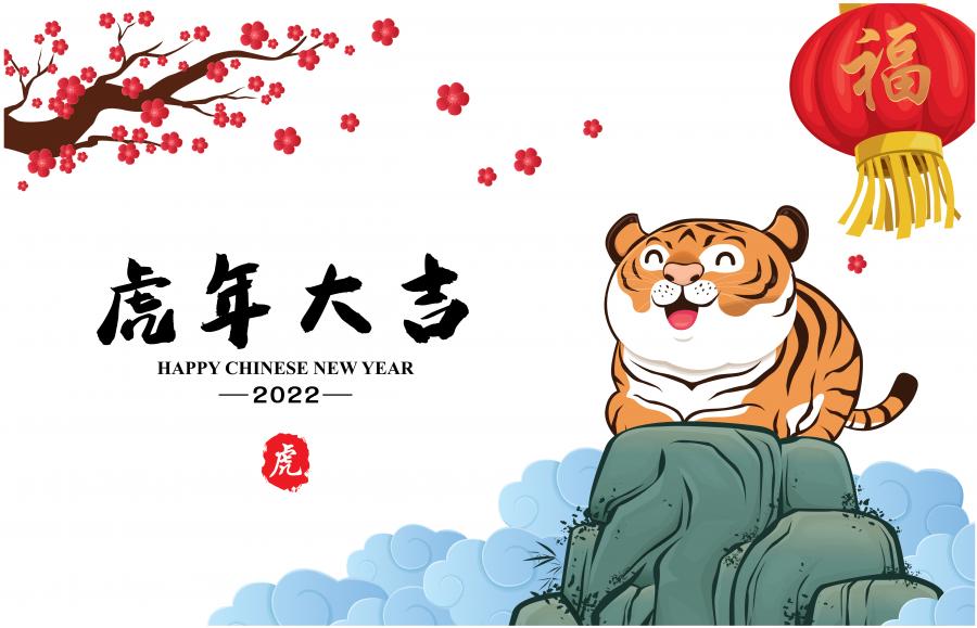 26款精选虎年矢量素材2022不同画风的虎年素材