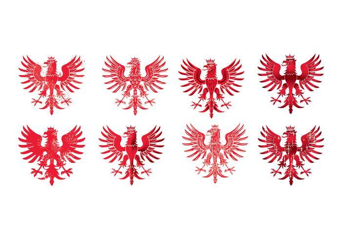 美国波兰鹰的全国武装