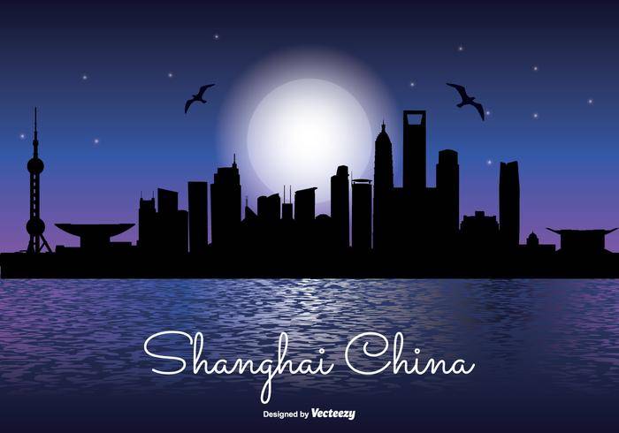 上海夜晚的天际线图